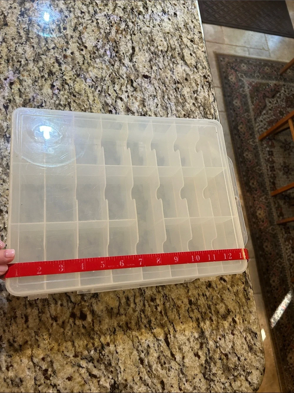Multi-Compartment Clear Plastic Double Sided Organizer with Caring Handle